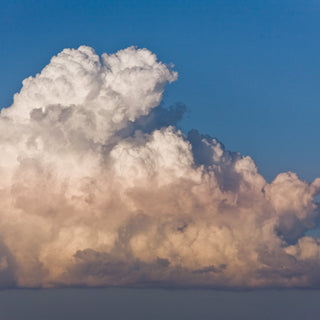 Optimizing Business Efficiency with OneDrive for Business